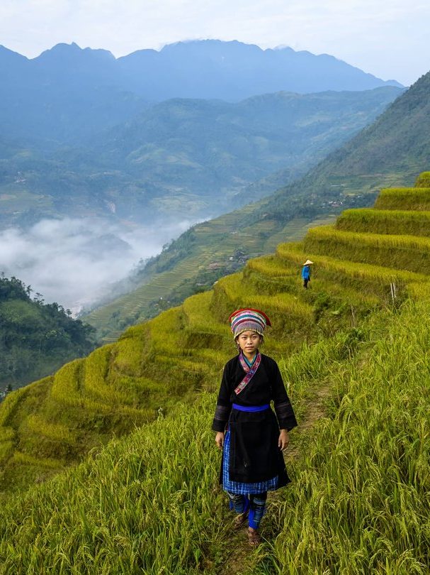 Terraced rice fields in Sa Pa, Northern Vietnam
